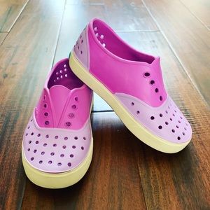 Purple/lilac Natives C11